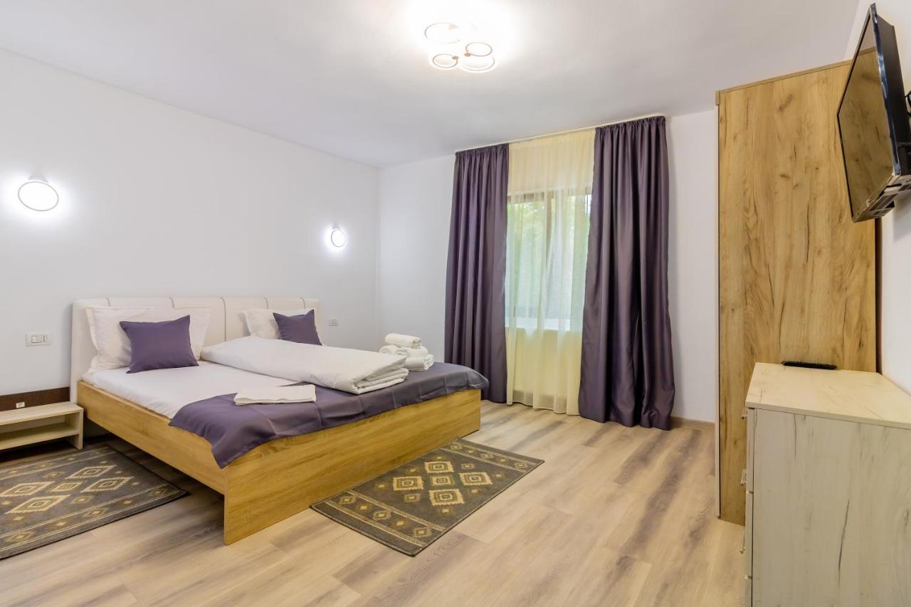Pensiunea D & Ylan Hotel Novaci-Străini Eksteriør billede