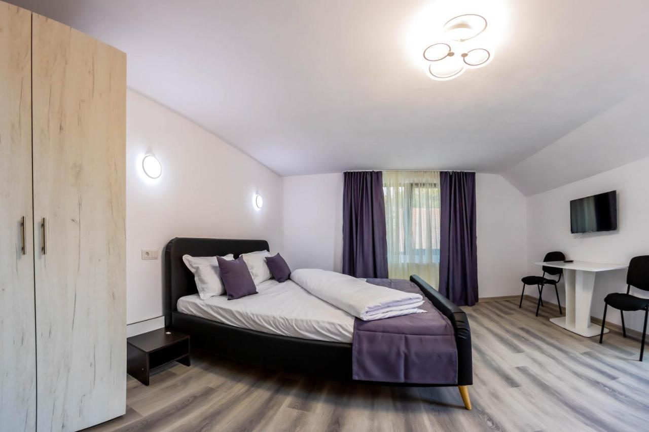 Pensiunea D & Ylan Hotel Novaci-Străini Eksteriør billede